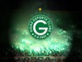 /album/espa%c3%a7o%20p-%20o%20meu%20time%20do%20cora%c3%a7%c3%a3o/goias-jpg/